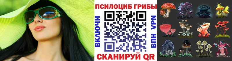 Галлюциногенные грибы ЛСД  OMG ссылки  Нея  где купить наркоту 